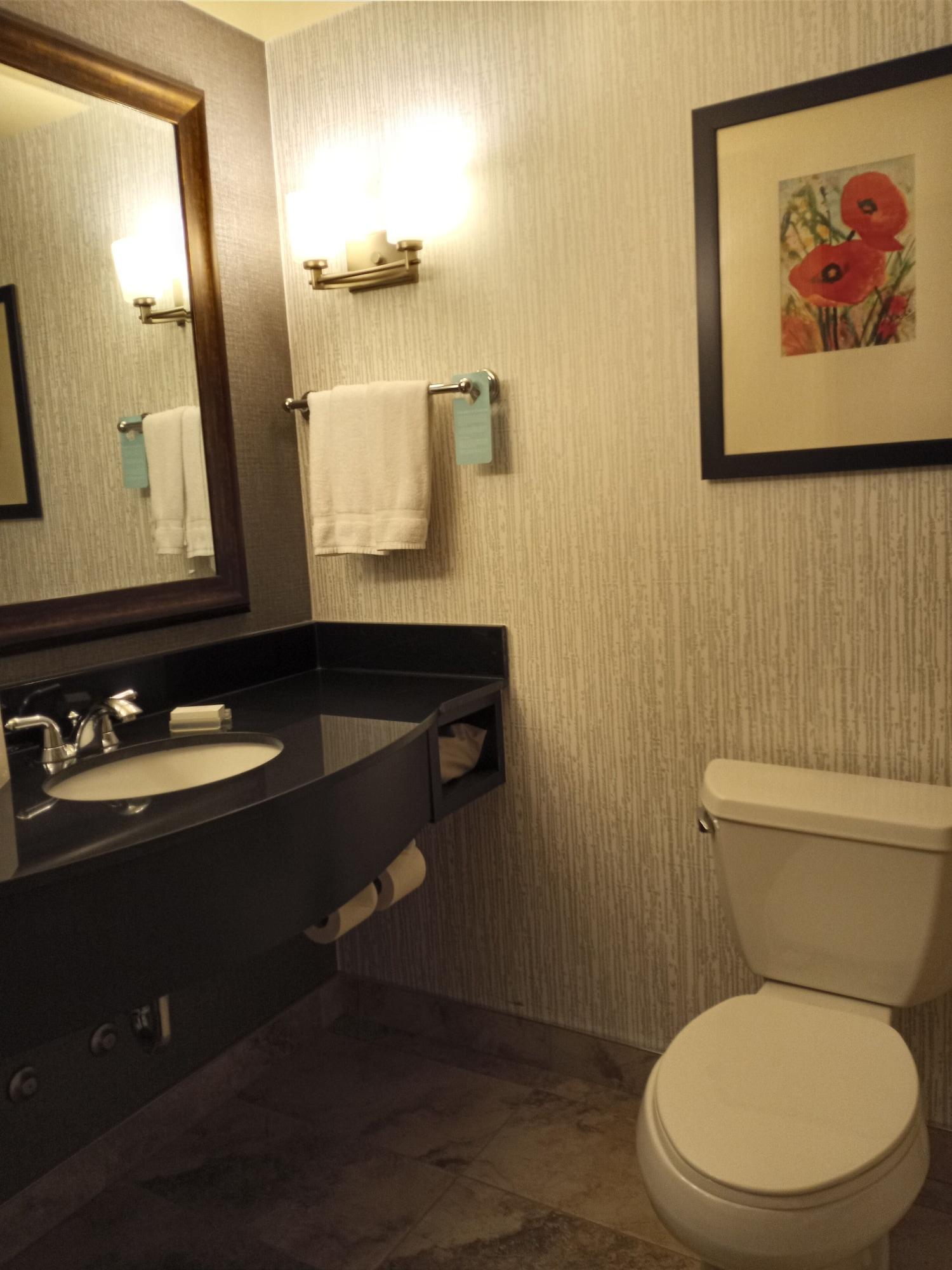 Hilton Garden Inn Calgary Airport Екстер'єр фото